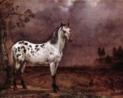派勒斯波特 - The Spotted Horse